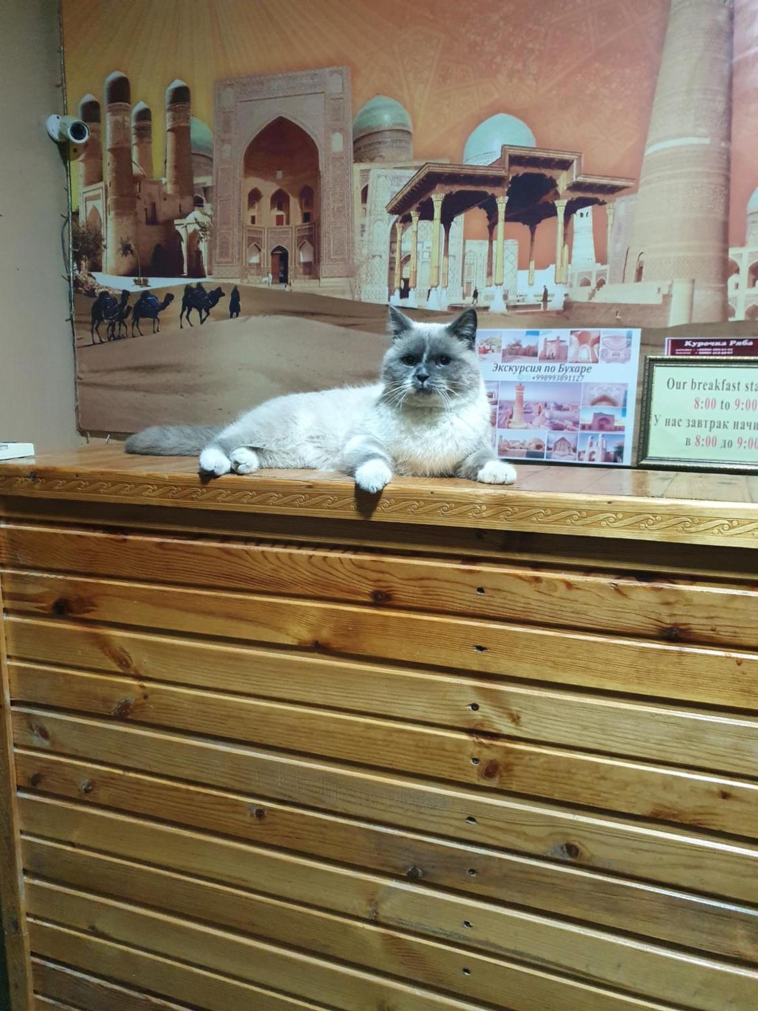 Hotel Ravshan Boutique Buchara Buitenkant foto